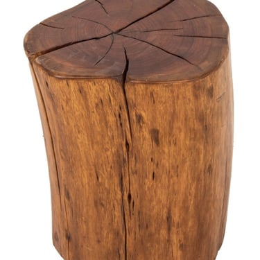 Modern Wood Trunk End Table / Stool