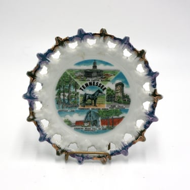 vintage Tennessee souvenir plate by Scotty made in Japan 