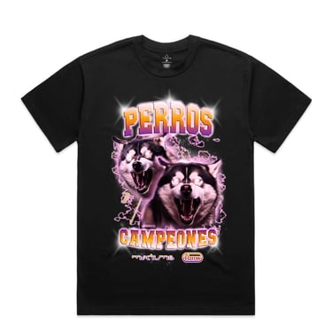 UW Huskies Campeones T-Shirt Mediums Collective x TBNW