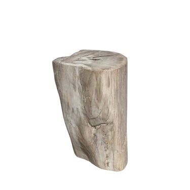 Grey Petrified Wood Stump Side Table