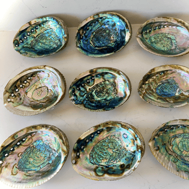 Abalone Shell/Bowl
