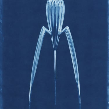 David Sokosh | Alien Reamer, Cyanotype Framed in 14" x 18"