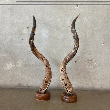 Pair Of African Kudu Horns