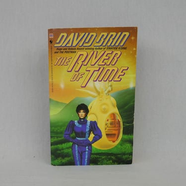 The River of Time (1987) by David Brin - Vintage Science Fiction Sci Fi Novel Book 