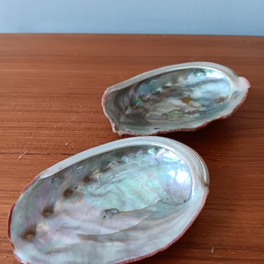 Red Abalone Small Shells | Pair| Vintage from 1950s 