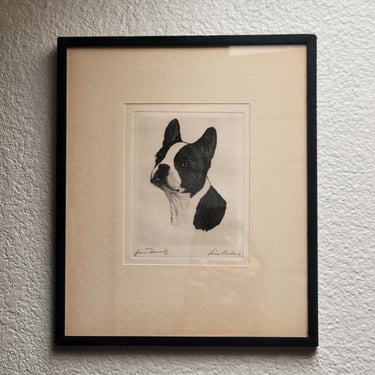 "Jim Dandy" Boston Terrier by Lisa Balsie - etching, early 20th century, USA