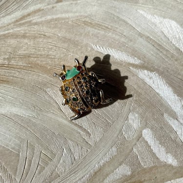 Fancy Lady Bug Pin