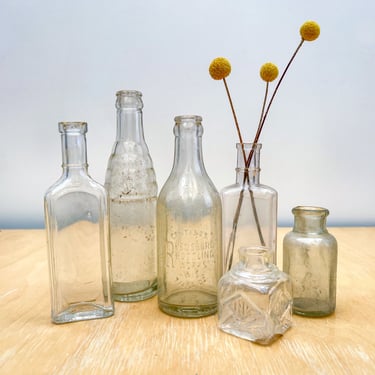 Antique Clear Glass Bottle Collection, Set of 6, 19th Century 1800s Apothecary Jars Found in Wisconsin, Reedsburg Bottling Works, Ink Bottle 