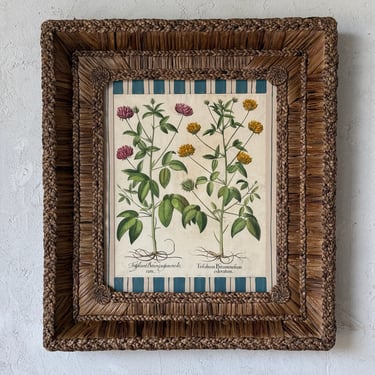 17th C. Hand Colored Besler Engraving of Frittillaria in Gusto Woven Frame IX