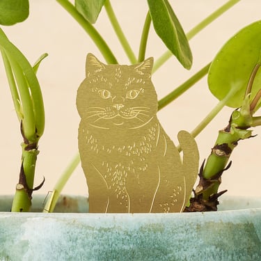 Cat - Plant Animal Decoration