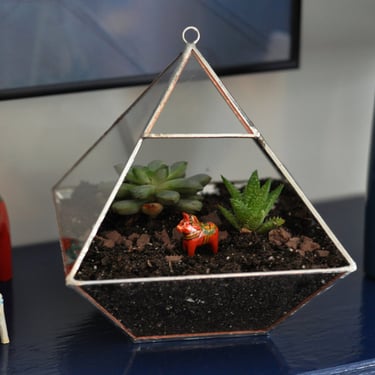 Air Terrarium Kit, pyramid top glass terrarium for hanging or to sit -- copper or silver color -- terrarium supplies -- eco friendly 