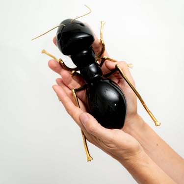 Black Shiny Ceramic and Brass Ant