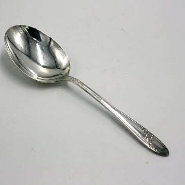 vintage oneida Queen Bess casserole spoon 