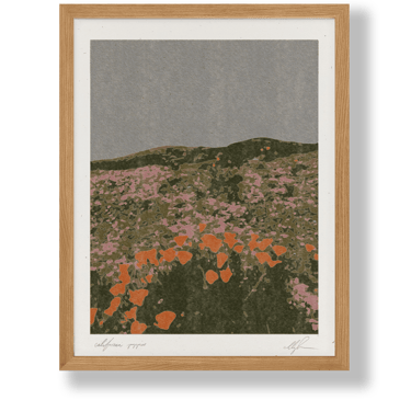 California Poppies 8x10 Print