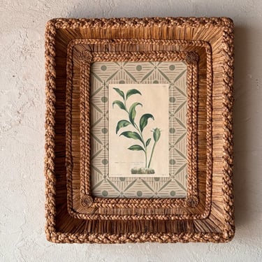 Gusto Woven Frame with Phillip Miller Engraving of Broad-Leaved Ginger circa 1807