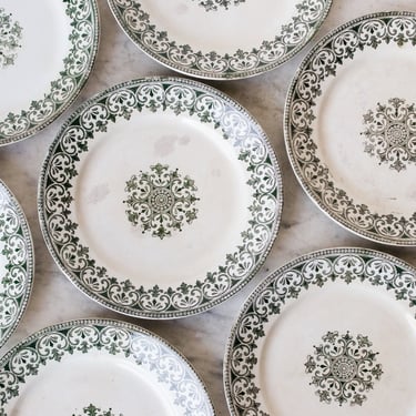 Transferware Plate Set of 6