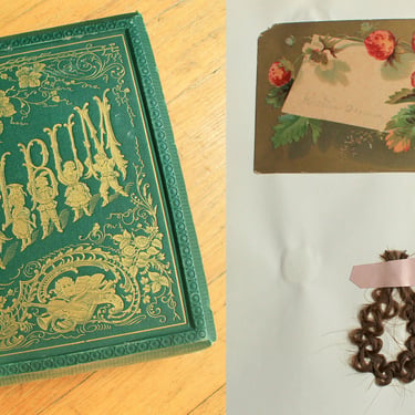 1880s Scrapbook / Hair Album / Friendship Book / Drawings Braids Poems 