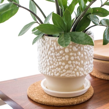 Textural White Ceramic Planter | Beaded Pot | Planter With Drainage | Gloopy Glaze | Garden Gift | Outdoor Decor | Boho | Wedding Present 