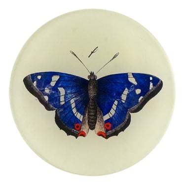 Deep Blue Butterfly 4" Round Plate