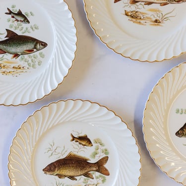 vintage french limoges fish service, full set of 12 with platter