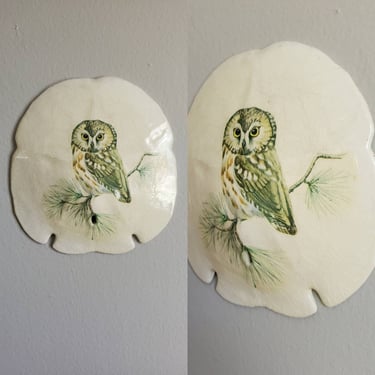70s Sand Dollar Wall Art with Owl Image 70s Home Decor 70's Wall Hangings 