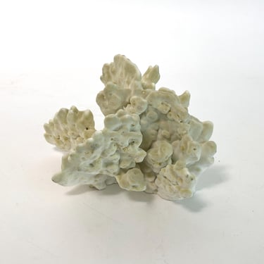 Large Natural Fire Coral Specimen Beach House Coastal Decor Organic Decor 