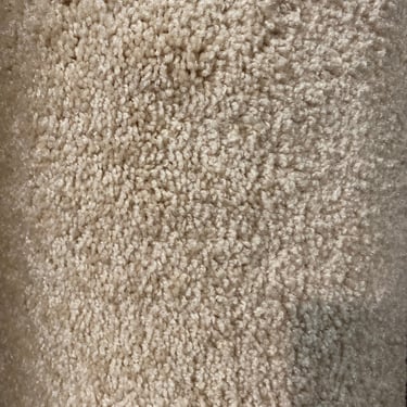 Cream Colored Surplus Carpet 12' x 11'9''