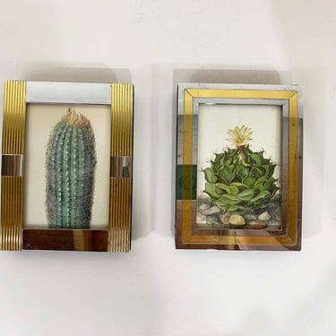 Vintage Framed Cactus Wooden Wood Frame Lithograph Litho Book Plate Flowers Green Desert Set of 2 Two Pair Boho Style Desert Home Bohemian 