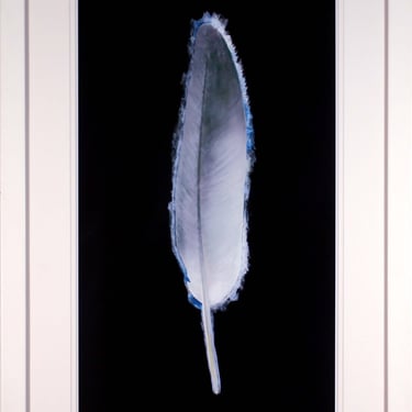 Georg Vihos Feather Signed Contemporary Mixed Media on Paper Framed 