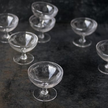 Etched Dessert Coupe Set of 8