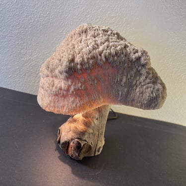 Vintage 70s Mushroom Shaped Coral Accent Lamp 