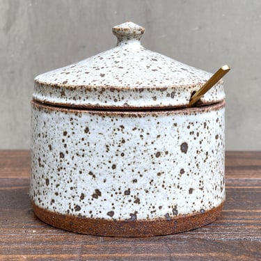 Ceramic Salt Cellar with Lid and Spoon Opening- Glossy Speckled "Oatmeal"- Large 