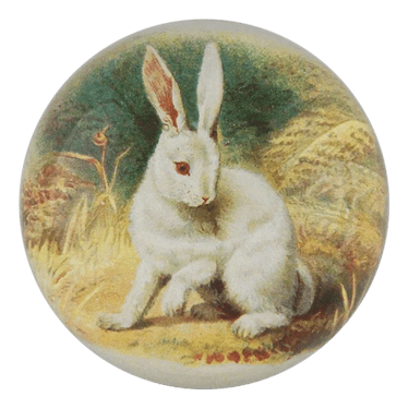 White Bunny Dome Paperweight