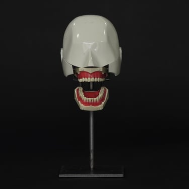 Classic White Dental Phantom