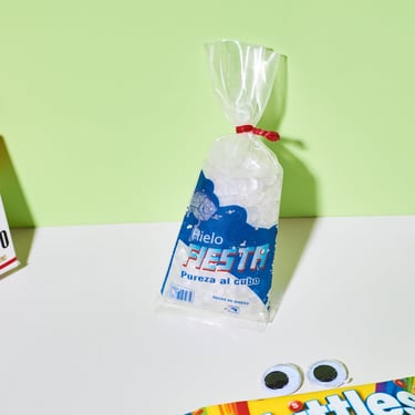 Mini Food Fridge Magnet - Bag of Ice