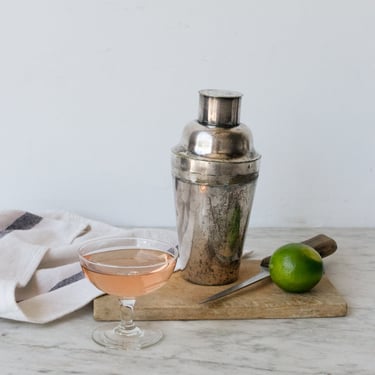 Perfectly Imperfect Silver Bar Shaker