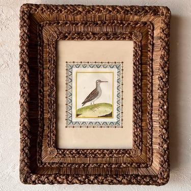Gusto Woven Frame with Francois Nicolas Martinet Hand-Colored Bird Engraving XX