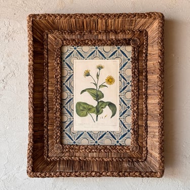 Gusto Woven Frame with 18th C. Phillip Miller Botanical Hand-Colored Engraving II