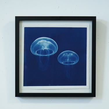 Framed Jellyfish Cyanotype 15" x 15"