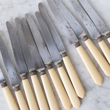 Bone Handled French Knife Set of 12 with Paris Stamp