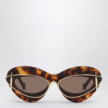 Loewe Cat-Eye Sunglasses In Havana Acetate And Metal Women