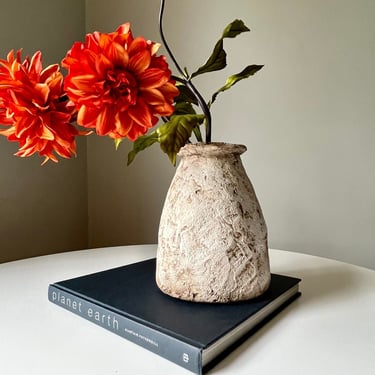Coffee Table Book: Planet Earth As You've Never Seen It Before by Alastair Fothergill 