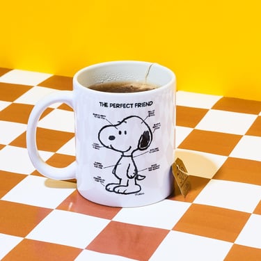 Perfect Friends Peanuts Snoopy Mug