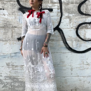 Antique Embroidered Sheer Dress