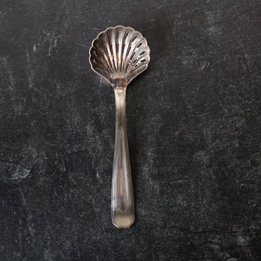 French Shell Sugar Spoon