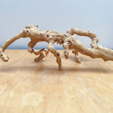 Sandblasted Grapewood Branch Natural Driftwood, Decorative Wooden Sculpture for Coastal Nautical Boho Decor 