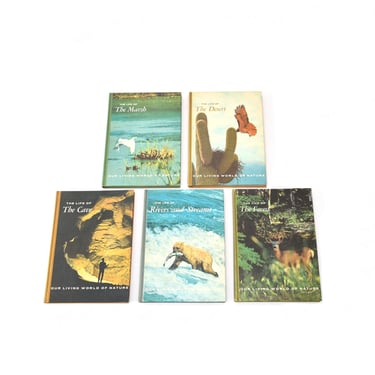 Coffee Table Books, Set of 5 