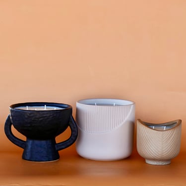 Still Collection Bundle
