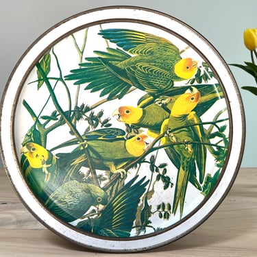 Vintage Audubon's America Series Tin, Large Round Double Sided Audubon Tin w/ Removable Serving Trays, Parakeets and Woodpeckers 