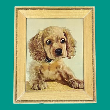 Vintage Leo Aarons Puppy Print 1950s Retro Size 25x21 Mid Century Modern + Cocker Spaniel + Surprise + Dog Wall Art + Kids Room or Nursey 